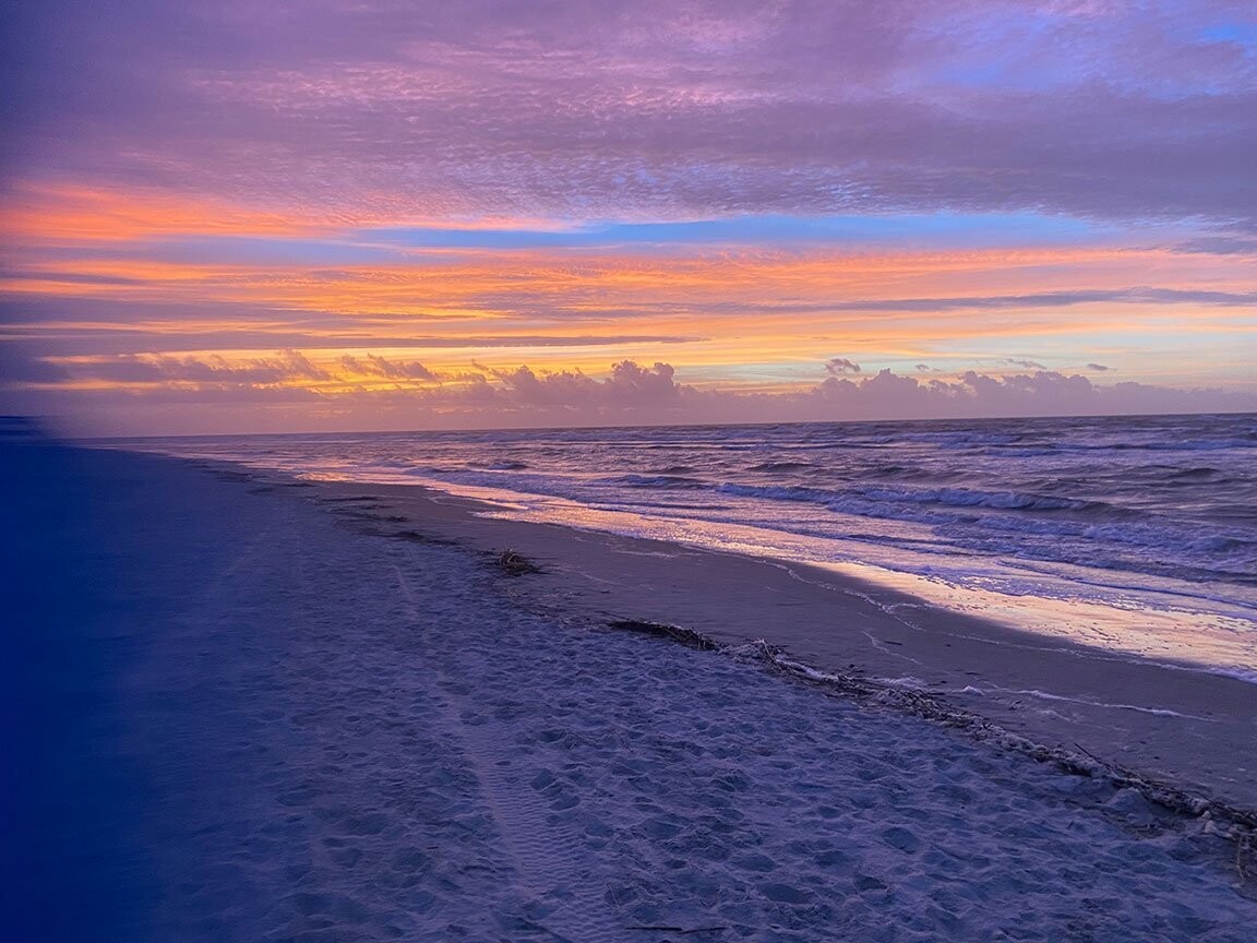 "Violet Shores" by Amie Thigpen