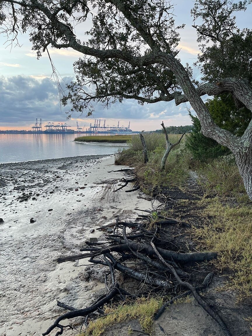 "Driftwood Shores" by Amie Thigpen