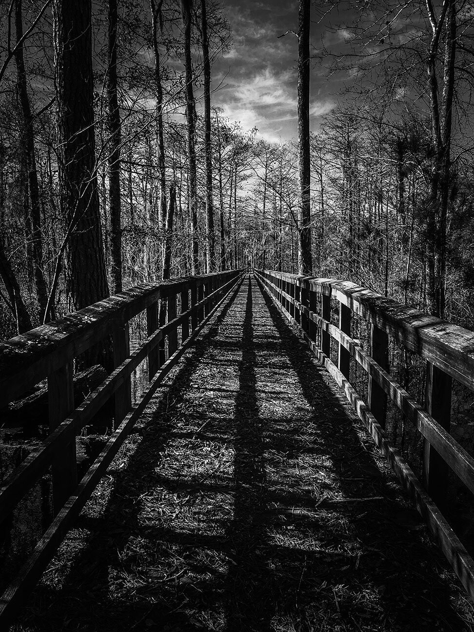 "The Straight Path" by Spencer Evans