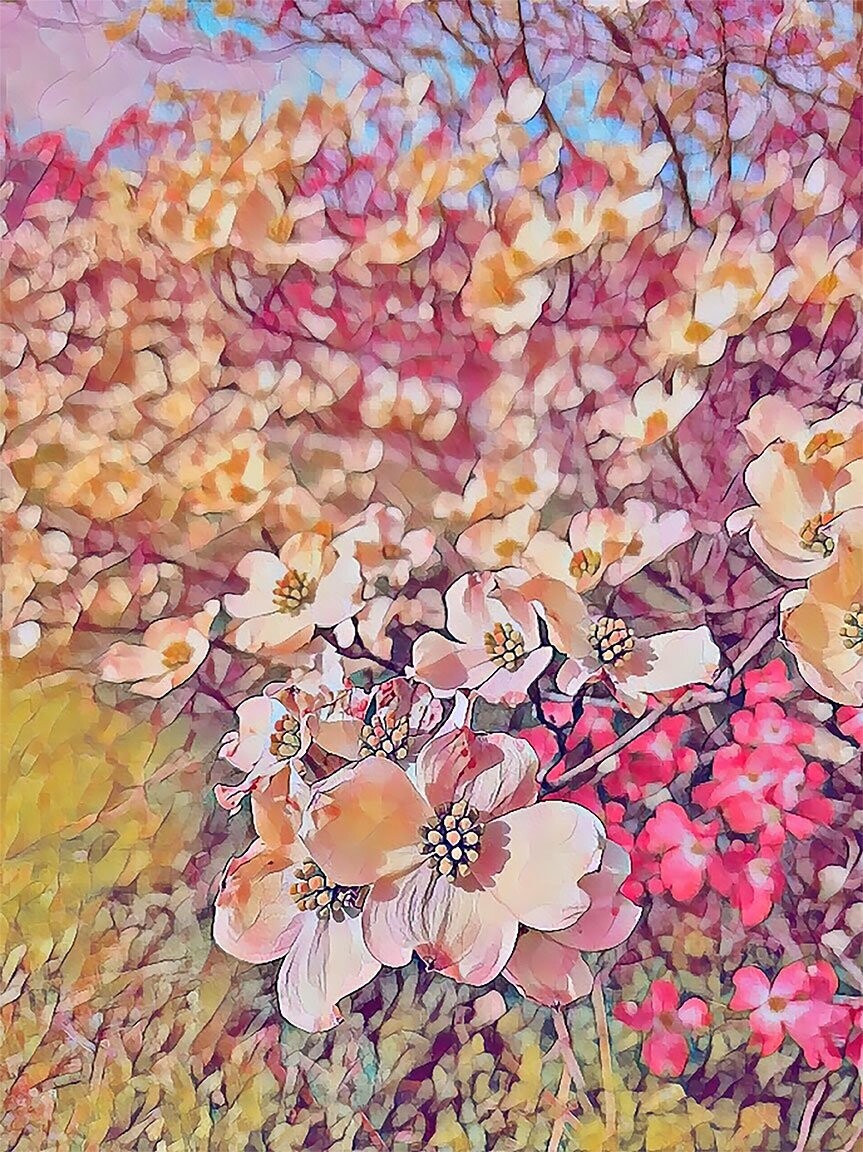 "Spring in the South" by David Johnson