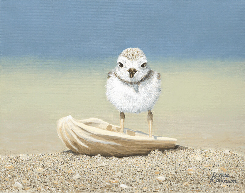 "Plover on the Half Shell" by Denise Robinson