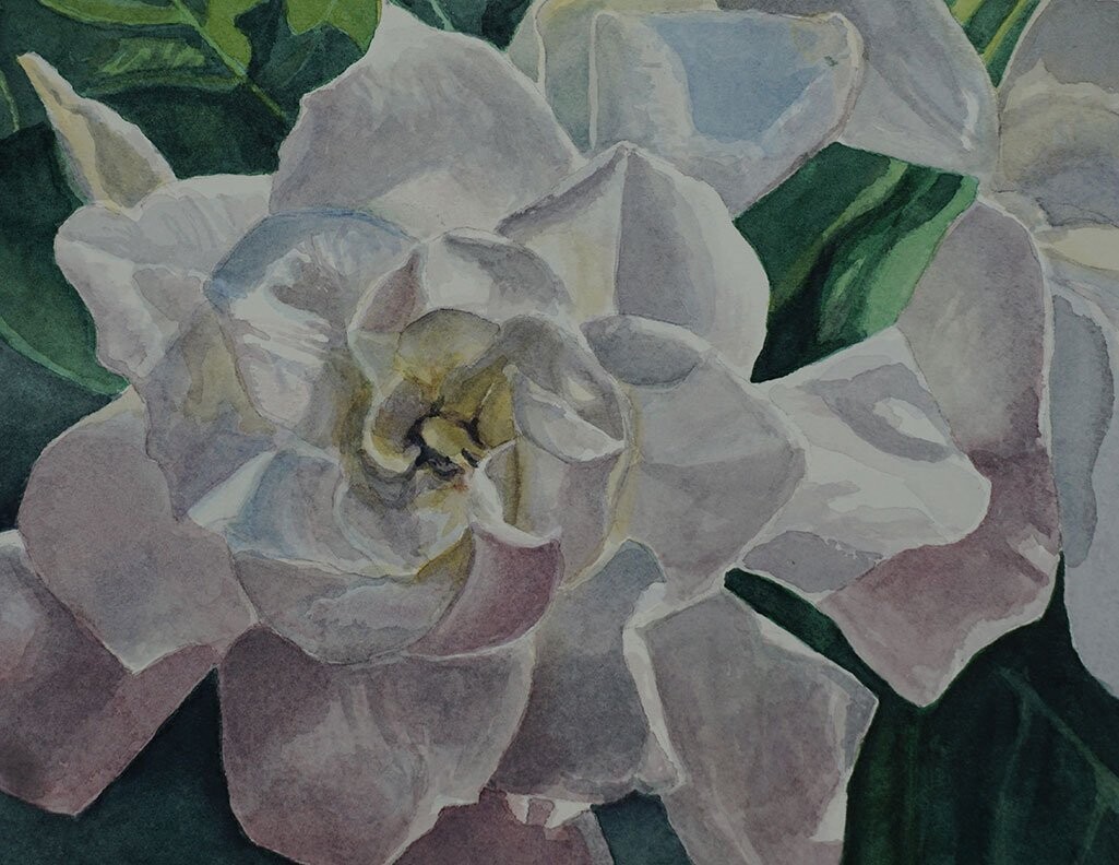 "Gardenia" by Missie Stevenson