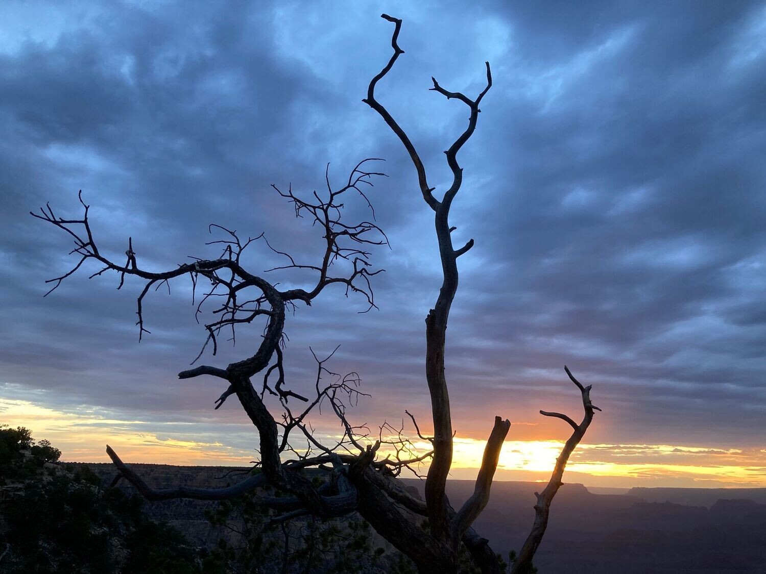 "Grand Canyon Silhouette" by Spencer Evans