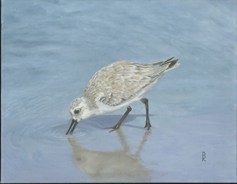 "Sanderling in the Sand" by Denise Robinson