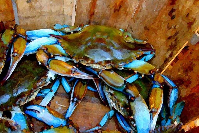 "Charleston Blue Crabs" by Paul Silva