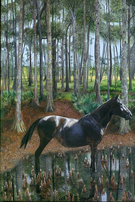 "Cypress Marsh Tacky" by Amy Broadway