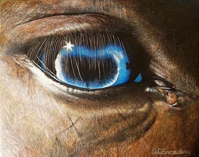 "Hope" L.E.A.R.N. Horse Rescue. " by Amy roadway