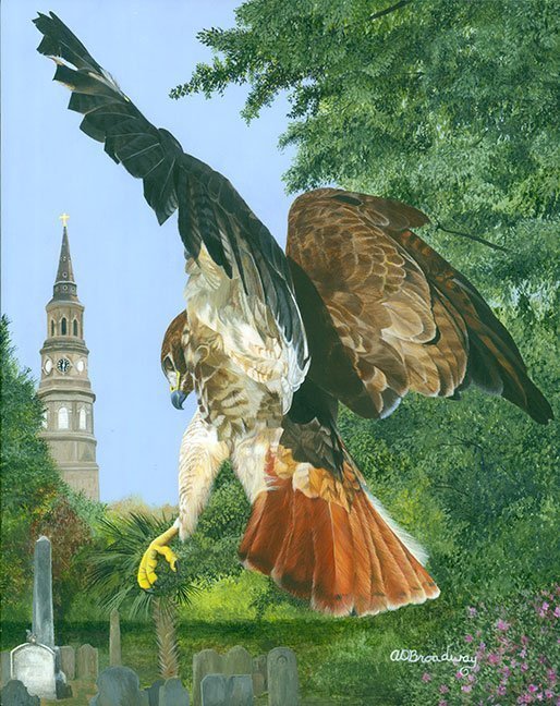 "Saint Philips Hawk" by Amy Broadway