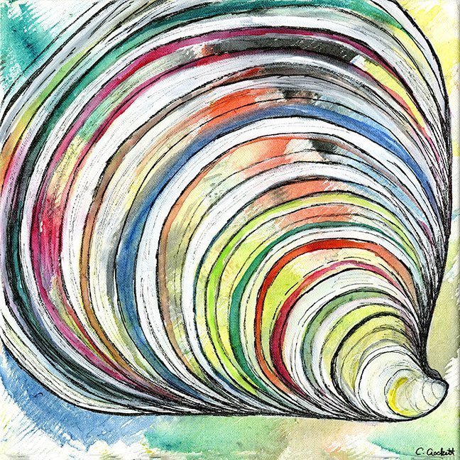 "Rainbow Shell"  by Caroline Crockett