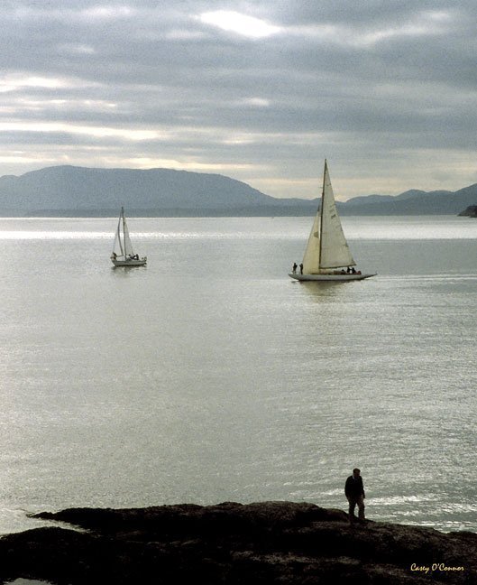 "Four Seeking a Breeze" by Casey O'Connor