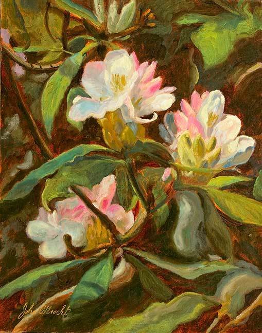 "Mountain Blooms" by John Albrecht."