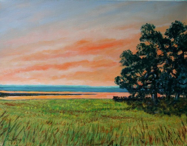 "Ace Basin" by Ray Hatfield