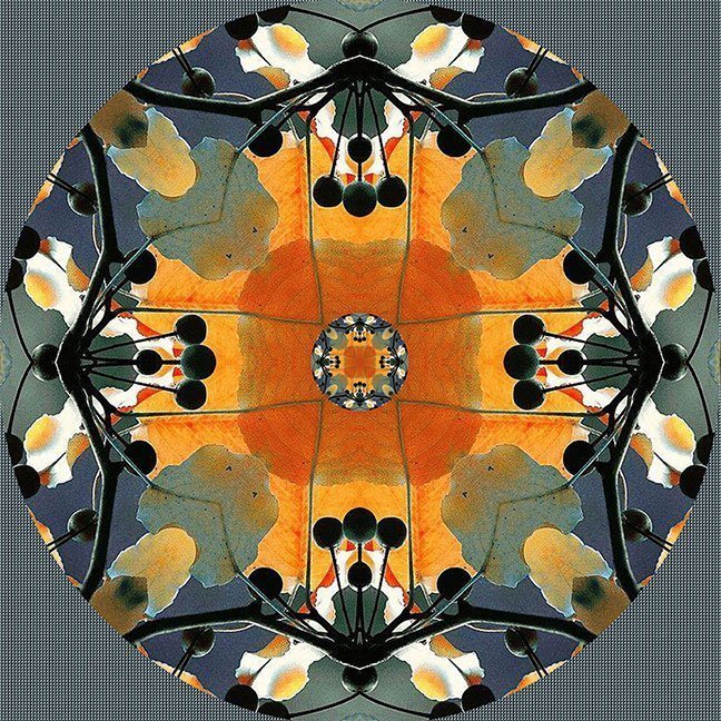 "Drum Circle" by Paula Caldwell