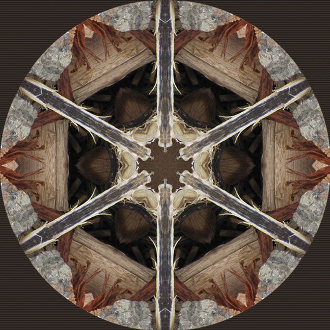 "Woodpile-3" by Paula Caldwell