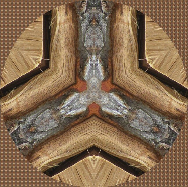 "Woodpile-6" by Paula Caldwell