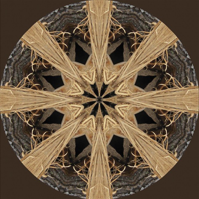 "From the Woodpile" by Paula Caldwell