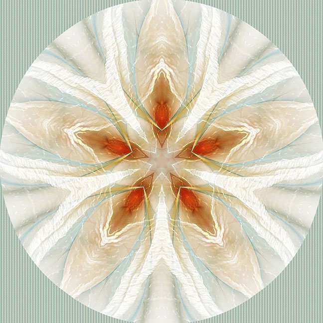 "Love Seeds" by Paula Caldwell