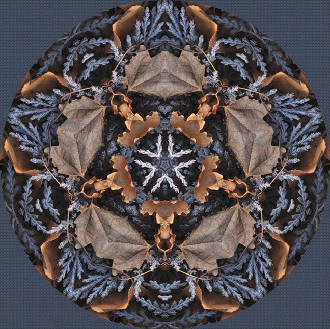 "Sanctuary" by Paula Caldwell