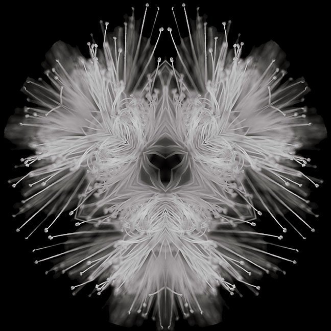 "Serene" by Paula Caldwell