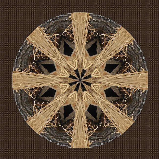 "Woodpile-1" by Paula Caldwell