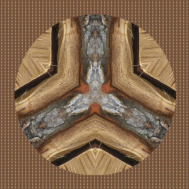 "Woodpile-2" by Paula Caldwell