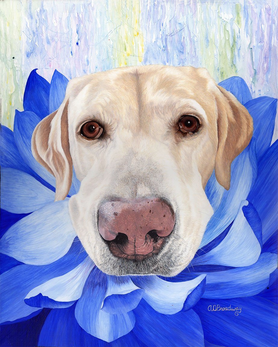 "Sugar Cookie" by Amy Broadway