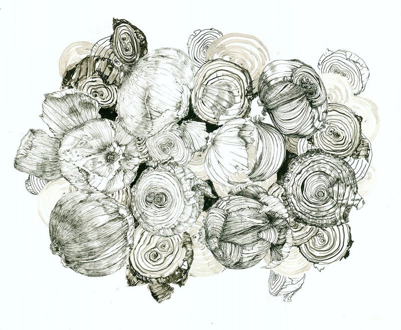 "Rainbow Onions" by Sharon Bartley
