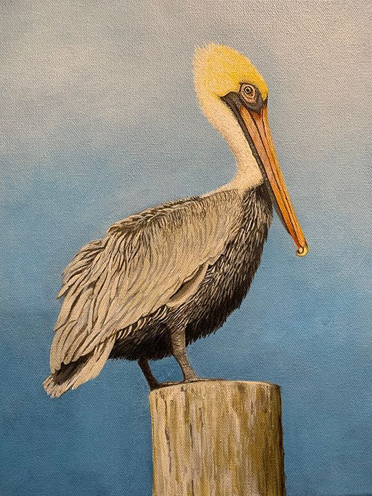 "Pelican" by Denise Robinson