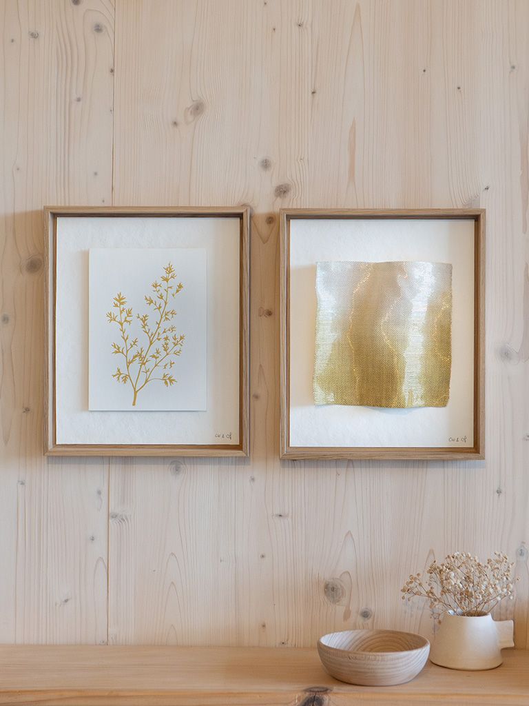 diptyque botanique Daucus carota