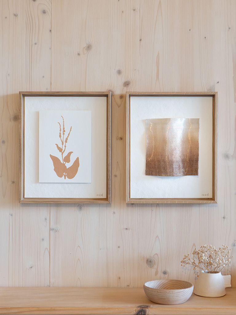 diptyque botanique Rumex obtusifolius