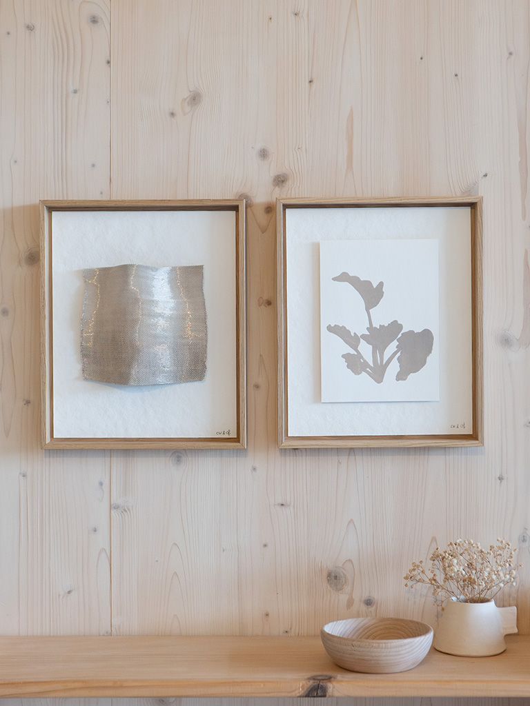 diptyque botanique Rheum rhabarbarum