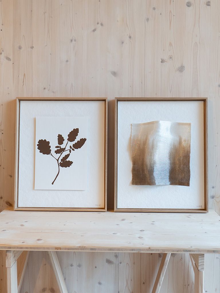 diptyque botanique Quercus petraea