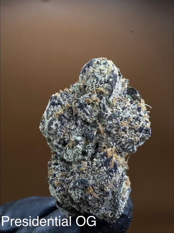Presidential OG