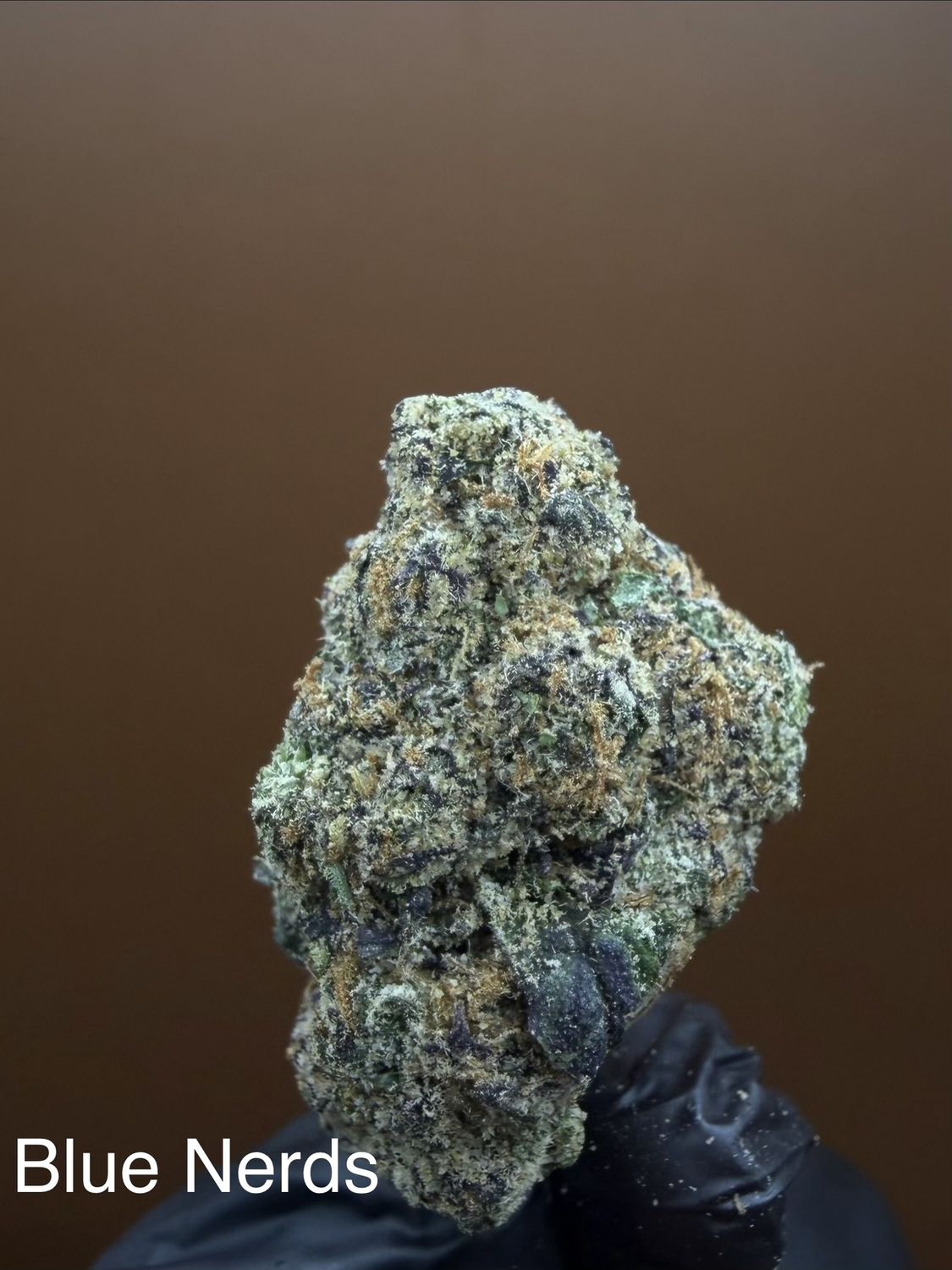Blue Nerds