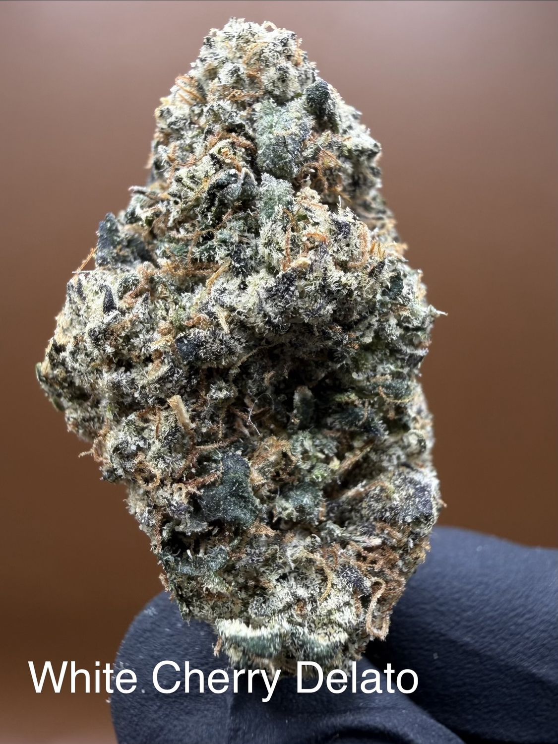 White Cherry Gelato