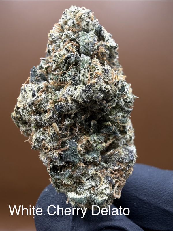 White Cherry Gelato