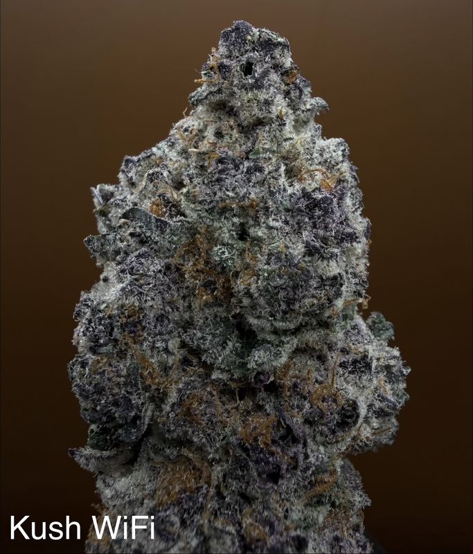 Kush Wifi