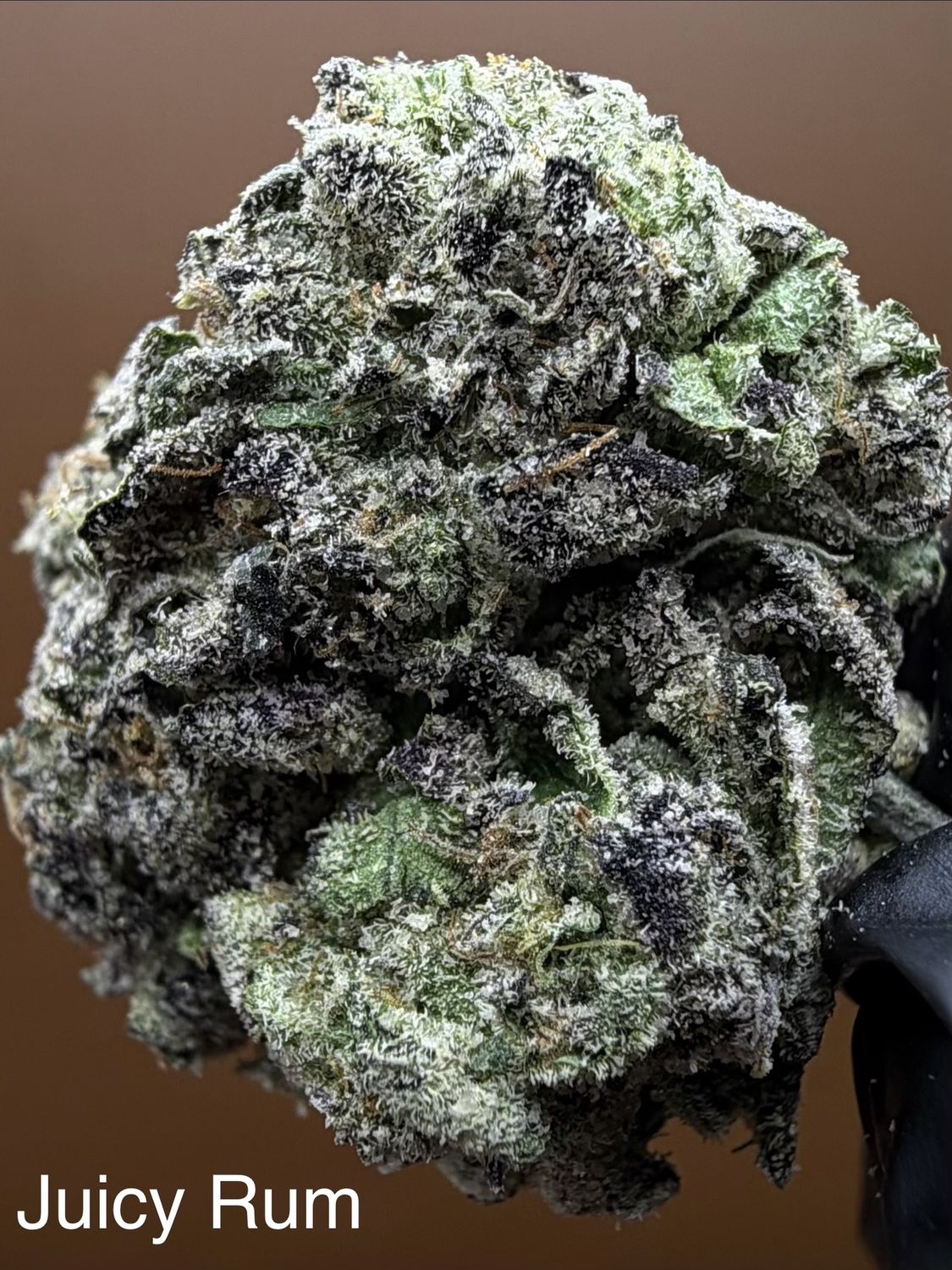 Juicy Rum
