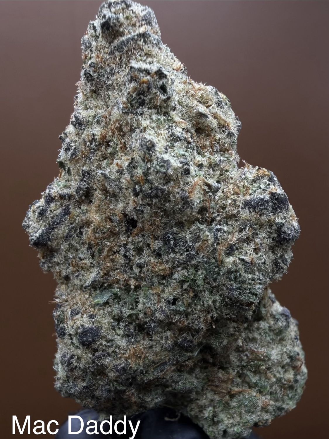 Mac Daddy