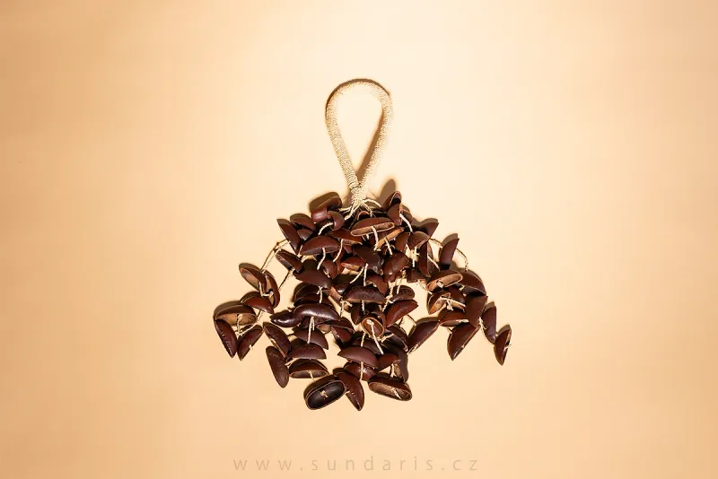 Chrastidlo Cabalonga z Ořechů Sundaris