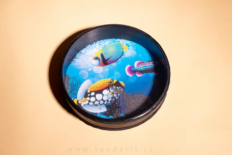 Ocean Drum Sundaris Fish 25 cm