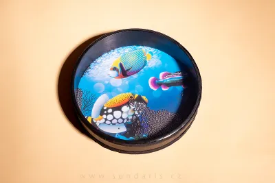Ocean Drum Sundaris Fish 25 cm