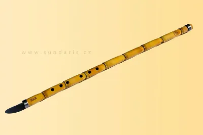 Arabská Flétna Ney Bedair D Professional