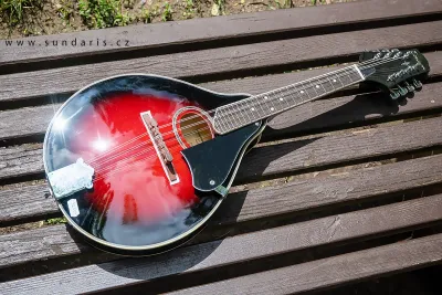 Folková Mandolína Tenson s Pouzdrem