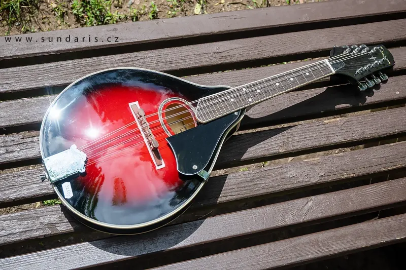 Folková Mandolína Tenson s Pouzdrem