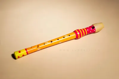 Dětská Zobcová Flétna Malovaná ze Dřeva