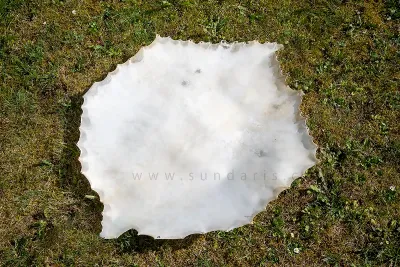 Blána pro Bubny Sundaris Kozí Kůže Hladká 55 cm