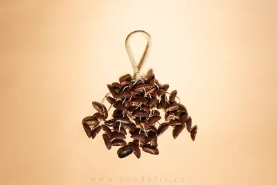 Chrastidlo Cabalonga z Ořechů Sundaris