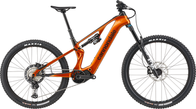 Cannondale Moterra SL 1, Raw, Medium