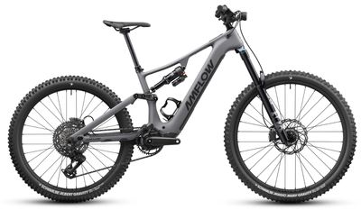 AMFLOW PR Carbon Pro